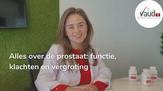 Alles over de prostaat onderzoek behandeling en klachten  Deskundig advies [upl. by Anaeerb]