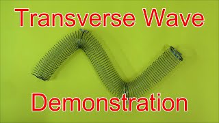 Transverse Waves Demonstration Using A Slinky [upl. by Agnimod]