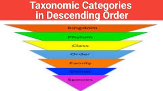 Taxonomic Categories in Descending Order biologywalesir taxonomic categories descending order [upl. by Sivel]