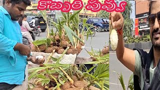 Coconut Flower  Hyderabad Street Food  Indian Street Food worldtraveler9453 [upl. by Anelak]