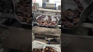 Mushroom Vegetable Cleaning Machinemachine [upl. by Ecirehs]