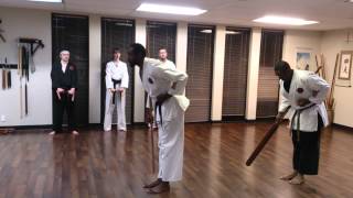 Okinawan Kobudo Eku Bo quotOarquot vs Long Staff quotBo quot [upl. by Legyn775]