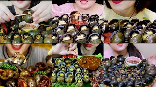 ASMR EATING GIANT SNAILS ESCARGOT APPLES SNAILS TỔNG HỢP CLIP ĂN ỐC BƯƠU HẤP XẢ ỚT [upl. by Aydin919]