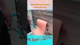 High Moisture Protein Production Line [upl. by Iraam]