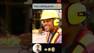 Funny tree cutting prank 😂 funny foryou shorts praank funnyvideo [upl. by Attela]