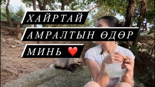 Ойд баавгай шиг юмтай таарсан нь ❤️ Амралтын өдөрөө байгаль эхтэйгээ🫂 [upl. by Sawyer]