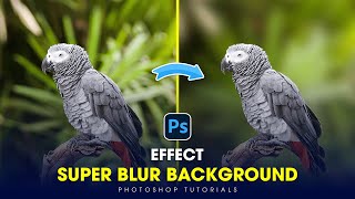 Photoshop Tutorial 2024  How to Create a Super Blur Effect With Gaussian Blur [upl. by Manard]