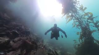 Breakwater Monterey Scuba Dive 2 For The Day [upl. by Otirecul]