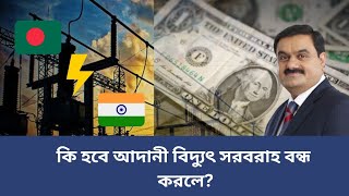 আদানী ও বাংলাদেশের বিদ্যুৎ চুক্তি  Adani and BD electricity deal  Mohammad Riyad [upl. by Leunam]