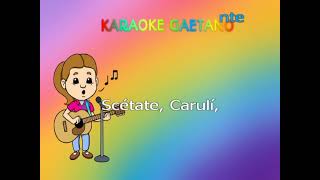 Sergio Bruni Marechiaro karaoke [upl. by Picker]