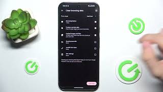How to Clear Browser Data in GOOGLE Pixel 9 Pro XL [upl. by Lisk]