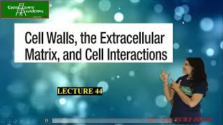 Cell Biology Lecture 44 Cadherins Gap Junctions Plasmodesmata trending [upl. by Anehsat]