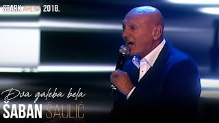 Saban Saulic  Dva galeba bela STARK ARENA 2018 [upl. by Hun416]