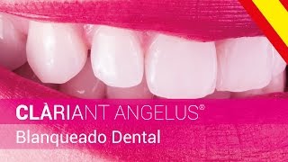 CLÀRIANT ANGELUS®  Blanqueado Dental  Asociación Técnica [upl. by Nauh]