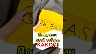 Артикул на Ozone 1686757372 собакаулыбака юмор собака хаскивидео собаки топ питомцы щенок [upl. by Maurits]