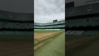 Estadio del Betis desde el campo de juego  Sevilla  España 🤍💚🇪🇦 [upl. by Nabe]