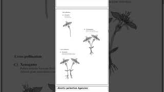 CH1 Reproduction in Lower and Higher Plants Class 12 [upl. by Freud]