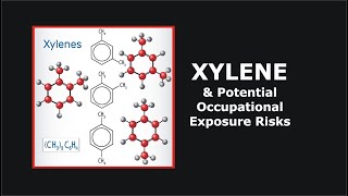 Xylene and Potential Occupational Exposure Risks [upl. by Atnwahsal]