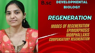 Regeneration bsc 3rd yrModes Of RegenerationMorphallaxisEpimorphosisCompensatory regeneration [upl. by Elam588]