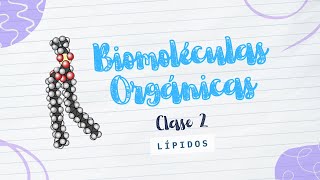 ¿Cuáles características de los Lípidos conoces [upl. by Eugilegna]