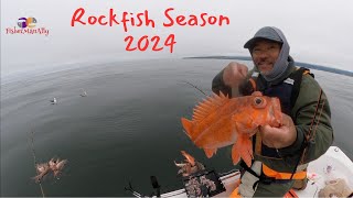 Rockfish Season 2024  Mothers Day Special  Half Moon bay [upl. by Thorbert]