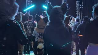 Anthro New England 2024 Con Video and Overview [upl. by Chor573]