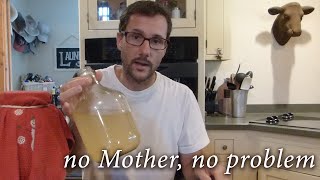 Apple Cider Vinegar ACV Made FROM SCRATCH [upl. by Lenhart]