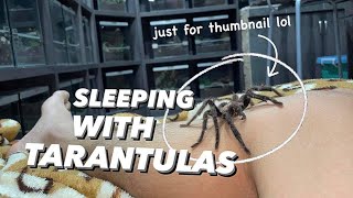 Sleeping with over 150 TARANTULAS to Save Electricity [upl. by Lori]