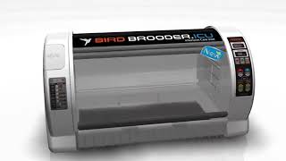 Rcom Bird Brooder [upl. by Gainor186]