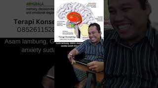 Hati yang Gembira adalah Obat yang Manjur 22 November 2024 Part 3 [upl. by Buonomo166]