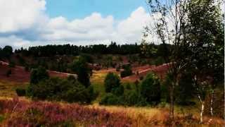 Germany  Lüneburger Heide [upl. by Winzler133]