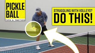 Improve the Accuracy of Your VOLLEY Pickleball Tips amp Drills [upl. by Nonnac469]