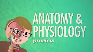 Crash Course Anatomy amp Physiology Preview [upl. by Star635]