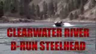 Clearwater River Steelhead Fishing with the Stottlemyres wwwfishstottscom [upl. by Bensen83]