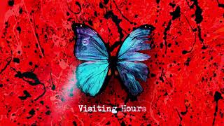 Ed Sheeran  Visiting Hours Official Lyric Video [upl. by Acinat66]