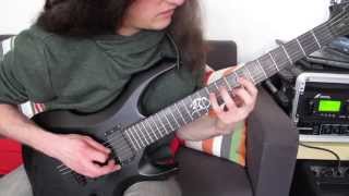 Protest The Hero  Sequoia Throne Guitar Cover [upl. by Tj]