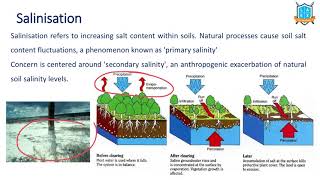 What is Salinisation   Salinisation అంటే ఏమిటి  La Excellence [upl. by Nwahsyar460]
