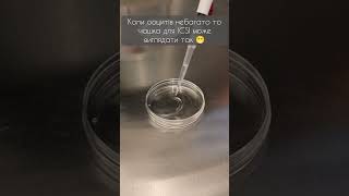 Чашка для ІКСІ ICSI intracytoplasmic sperm injection 😁 embrio biology ivf icsi embryology [upl. by Haimrej]