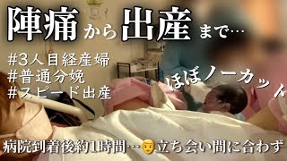 【陣痛から出産まで】静かなお産…産まれる瞬間ノーカット採血も内診も点滴も苦手…怖がり痛がりの私がなるべく静かに挑む3度目の出産経産婦自然・普通分娩スピード出産で旦那立ち会い間に合わず… [upl. by Bassett]