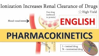 Pharmacokinetics  Permeability amp Ionization with clinical correlation in English [upl. by Aicenat549]