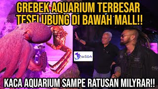 GREBEK AQUARIUM TERBESAR TERSELUBUNG DI BAWAH MALL KACA AQUARIUMNYA SAMPE RATUSAN MILYAR BXSEA [upl. by Yahs]