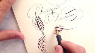 Heres A Pen Desiderata Daedalus [upl. by Oneida103]