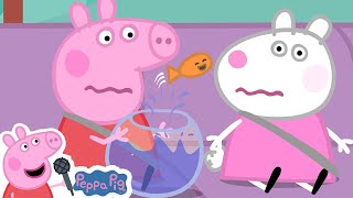 Naughty Little Fishy Goes to the Vets  Peppa Pig Nursery Rhymes and Kids Songs [upl. by Pontus]