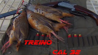 Treino com perdizes e Calibre 32 [upl. by Nerhtak791]