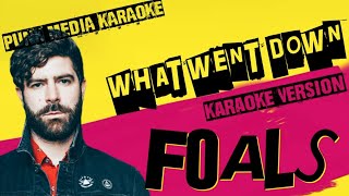 FOALS ✴ WHAT WENT DOWN ✴ KARAOKE INSTRUMENTAL ✴ PMK [upl. by Redan]