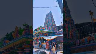 Sri Peddamma thalli Temple Jubilee Hills peddammathalli jubileehills hyderabad temple shortfeed [upl. by Lytle]