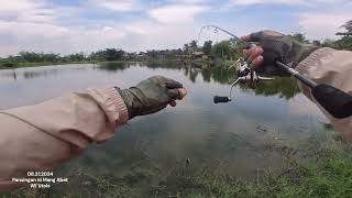 Tinys Mancing Adventures E13  UTOLS [upl. by Erdeid]