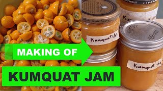 Making Kumquat Jam Fruit amp Sugar only no pectin added [upl. by Jordanna517]