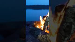 Bonfire by the Lake camping relaxing nature wildlifebythelake forestambiance [upl. by Ebsen]