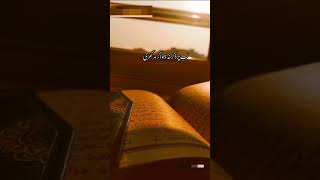 Ham tilawat kare rab ke Quran ki [upl. by Itsrik]